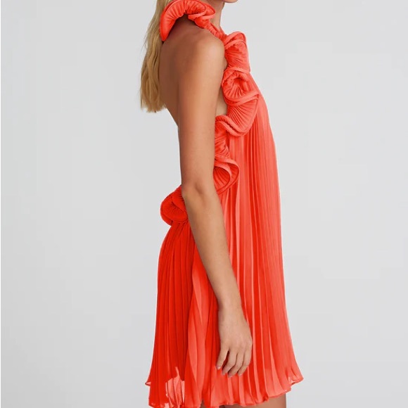 AMUR MIMI DRESS - Picture 2 of 4